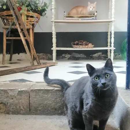 Maison d'hôtes La Vecchia Casa 3*