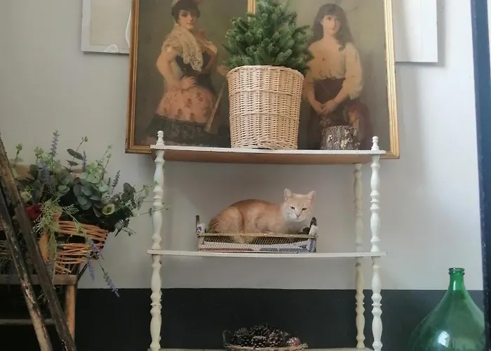 La Vecchia Casa Affittacamere