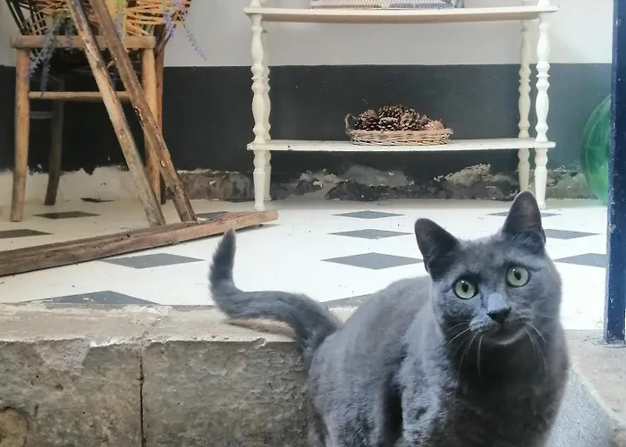 게스트하우스 La Vecchia Casa 3*